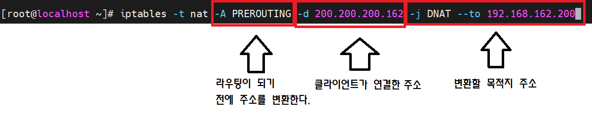 dnat 해석.png